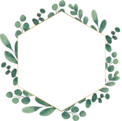 eucalyptus_wreath01.png eucalyptus_wreath01.png